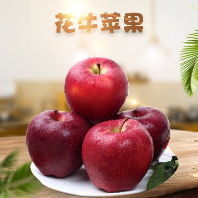 现货甘肃天水花牛苹果 代发3/5斤精品当季新鲜水果宝宝辅 食苹果图1