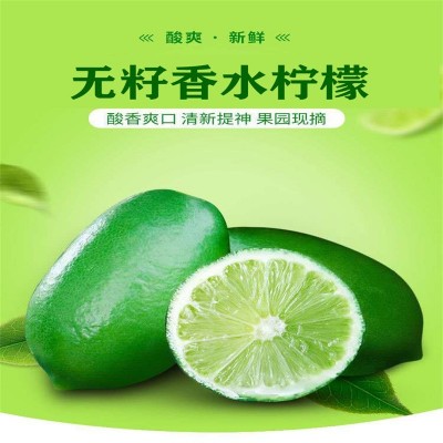 广东香水柠檬无籽热带当季新鲜水果批发奶茶店海南青柠檬整箱包邮图1