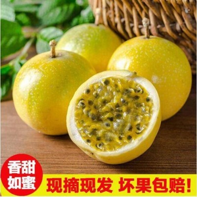 新鲜广西黄金百香果9号大果热带孕妇水果黄皮果鸡蛋果整箱批发图1