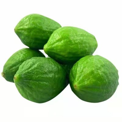 一件代发广东香水柠檬无籽青柠檬热带新鲜水果海南柠檬批发奶茶店图1