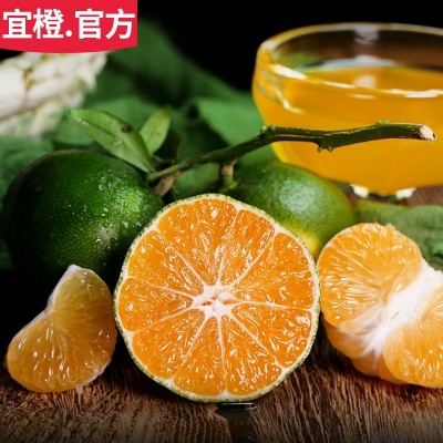 无籽桔子 3斤5斤9斤 皮薄酸甜多汁湖北蜜桔橘子 当季现摘新鲜水果图2