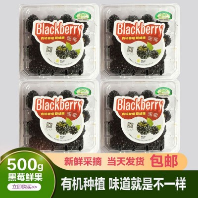 德蕾有机树莓鲜果当天采摘发货一斤起发图2