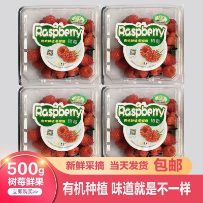 德蕾有机树莓鲜果当天采摘发货一斤起发图3