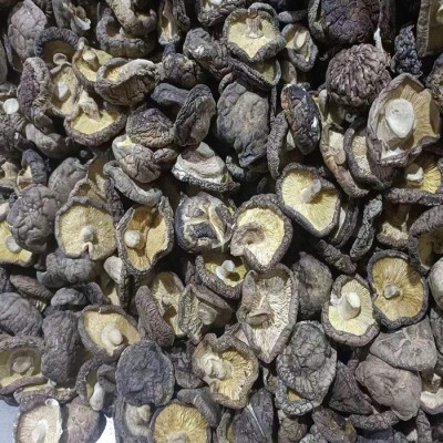 新货干香菇板菇食用菌蘑菇干春栽剪脚香菇工厂现货批发出口图3