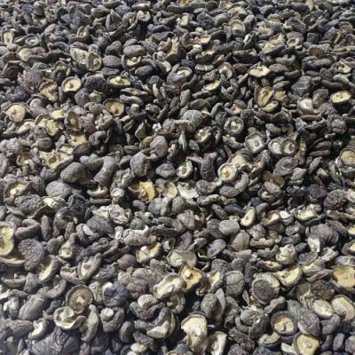 新货干香菇板菇食用菌蘑菇干春栽剪脚香菇工厂现货批发出口图4
