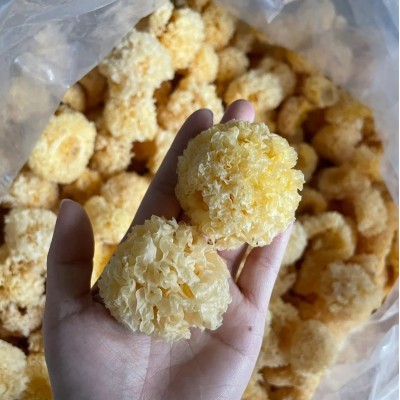 古田农家椴木小银耳 新耳采摘严选白木耳糯耳小银耳500g干货 厂家图2