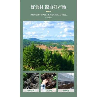 特级东北黑木耳干货特产小碗耳肉厚袋装黄松甸椴木大朵早春黑木耳图2