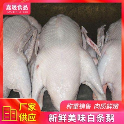 速冻全鹅厂家 冬季煲汤白条鹅 铁锅炖大鹅 批发新鲜鹅肉图1