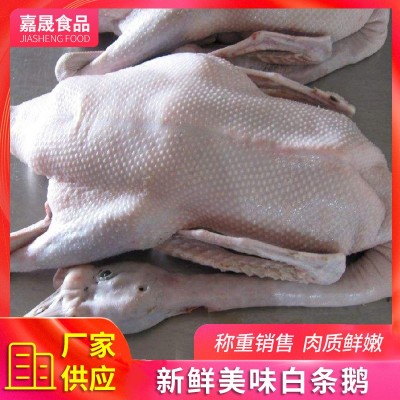 速冻全鹅厂家 冬季煲汤白条鹅 铁锅炖大鹅 批发新鲜鹅肉图3