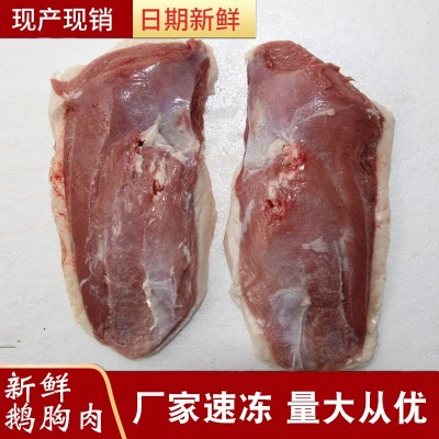 厂家供应 山东新鲜冷冻胸鹅肉 带皮鹅胸肉批发 支持代发图1