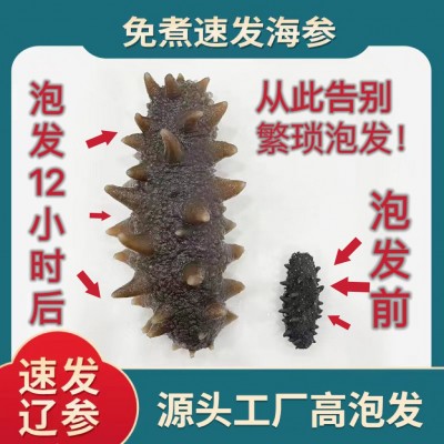 大连免发纯淡干速发免煮海参干货正宗辽刺参50克装孕妇学生老年人图1