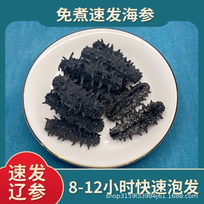 大连免发纯淡干速发免煮海参干货正宗辽刺参50克装孕妇学生老年人图4