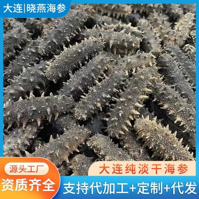 现货供应大连海参干货厂家批发辽参刺参肉质饱满纯淡干高泡发海参图2