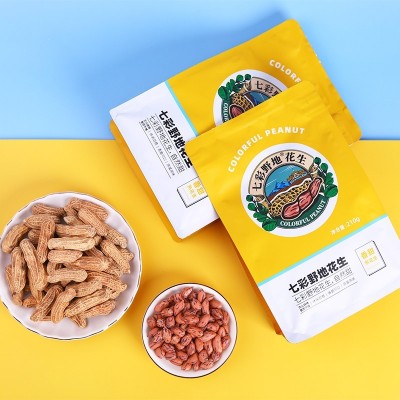 云南七彩花生 熟花生带壳原味炒货花生零食小吃 七彩野地花生210g图3