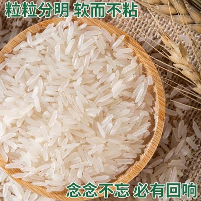 籼米猫牙米5kg大米批发10kg丝苗米50斤米长粒新米代发 量大优惠图1