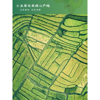 五常稻花香米23年东北大米当季新米10斤真空礼盒装 厂家批发图2