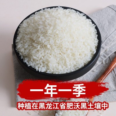 玉满田东北大米长粒香米10KG五常大米20斤装香米粳米厂家批发直批图3