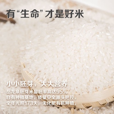 岳龙泉胚芽米熬粥米礼盒520g*1盒醇厚谷物米营养粥大米宝宝辅食图3