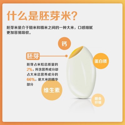 岳龙泉胚芽米熬粥米礼盒520g*1盒醇厚谷物米营养粥大米宝宝辅食图2