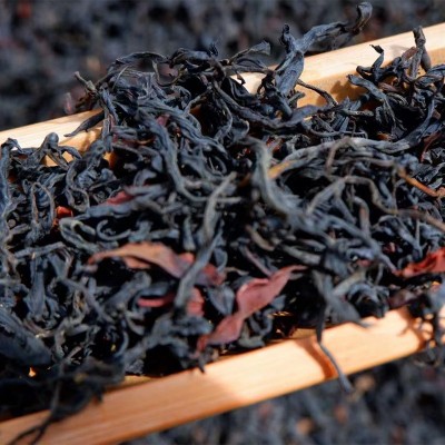 2023年云南滇红凤庆红茶饮用茶散装茶叶批发荒野滇红茶大叶种古树图2