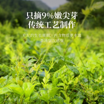 湖北恩施毛坝长寿藤茶龙须莓茶鲜嫩芽尖野生养生茶图3