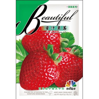 厂家供应 草莓种子 奶油草莓 蜜汁草莓 盆栽草莓 多规格草莓种子图2