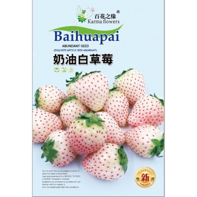 厂家供应 百花之缘 奶油白草莓 果园奶油白草莓种子现货批发图5
