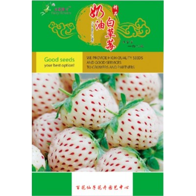 厂家供应 百花之缘 奶油白草莓 果园奶油白草莓种子现货批发图4