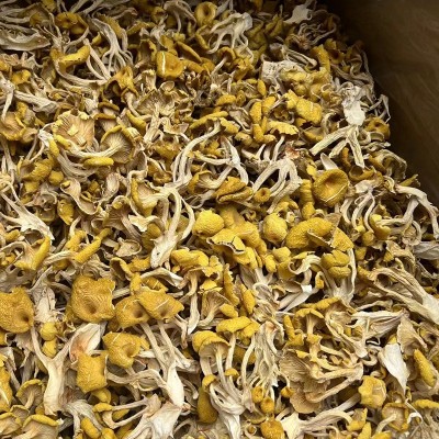 云南特产鸡油菌干蘑菇鸡油菌黄丝菌食用菌榆黄菇干货厂家直销图5