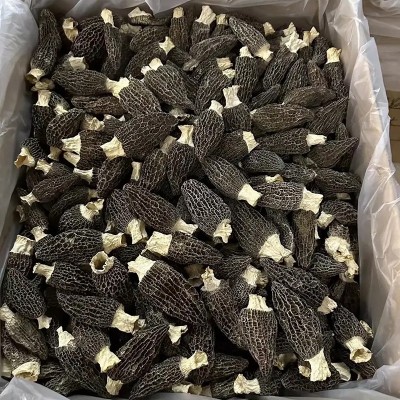 羊肚菌干货云南原产地批发价便宜羊肚菌干菌一件代发规格齐全批发图4