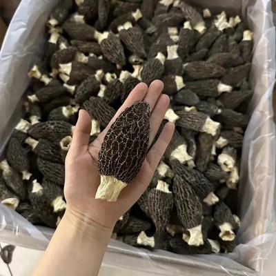 羊肚菌干货云南原产地批发价便宜羊肚菌干菌一件代发规格齐全批发图3