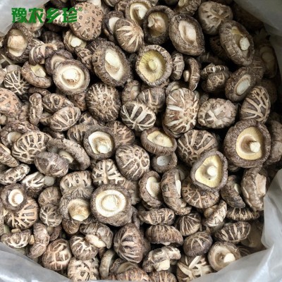 花菇西峡白花菇伏牛山特产花菇干货山珍干香菇冬菇礼品散装食材图2