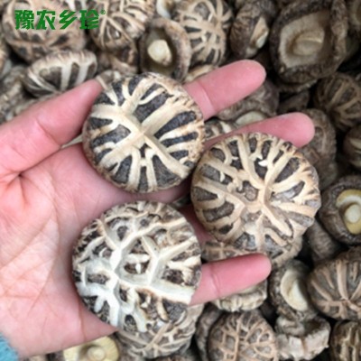 花菇西峡白花菇伏牛山特产花菇干货山珍干香菇冬菇礼品散装食材图5