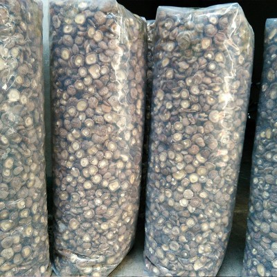 干香菇西峡香菇剪脚无根肉厚小香菇干货冬菇特产新货批发产地直发图3