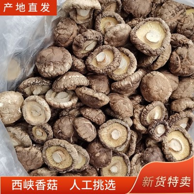 干香菇西峡香菇剪脚无根肉厚小香菇干货冬菇特产新货批发产地直发图1