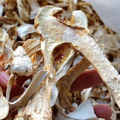 帮扶产品特产山珍干松茸源头厂家散装云南松茸片干货原料批发一手图4