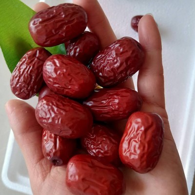 新疆若羌红枣批发500g 新货若羌灰枣煮粥包粽子零食核小大红枣图4