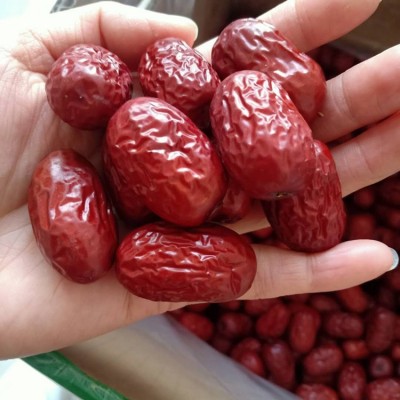 新疆若羌红枣批发500g 新货若羌灰枣煮粥包粽子零食核小大红枣图3