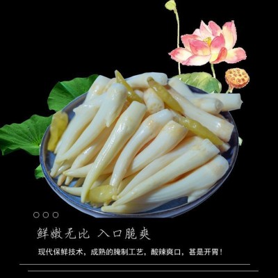 洪湖酸辣泡藕尖藕带头新鲜泡菜腌袋装开胃菜下饭菜酸辣泡藕尖批发图2
