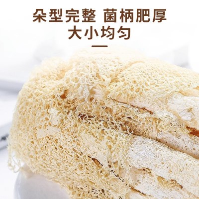 古田竹荪食用菌批发当季新鲜干货批发菌菇包煲汤料新货干竹荪菌菇图2