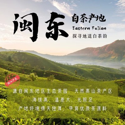 2018年福建福鼎的老白茶饼贡眉寿眉茶叶350g厂家直销茶叶批发图3