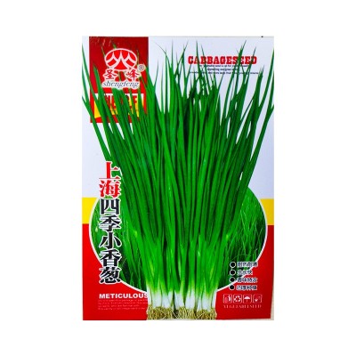 四季小香葱种子 农田菜地农户盆栽种植早熟蔬菜种子小葱籽图5