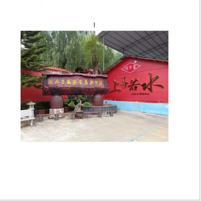 子龙蔬菜种子豌豆种子蔬菜种子黑眼肥仔豆基地田园露地阳台龙须豆图5