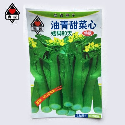实诚60天圆叶油青甜菜心种子新育成矮脚菜场大田用种蔬菜籽批发图5