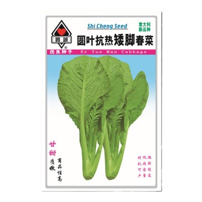 实诚美绿甘甜1号春菜种子赤叶矮脚春菜四季蔬菜种籽大田用种批发图4
