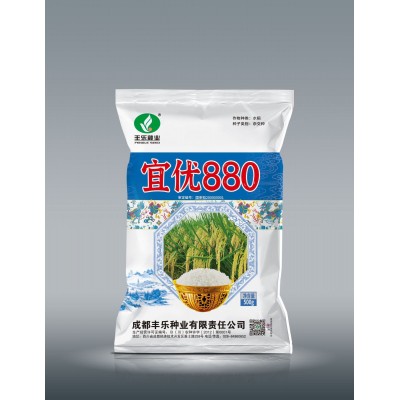 厂家直供水稻种子 宜优880 适应性广 产量高 抗性好 米质优图2