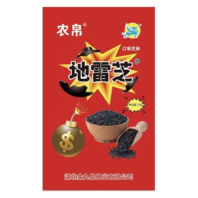 地雷芝芝麻种籽生产源头高产白芝麻种子抗病芝麻黑芝麻种子批发厂图5