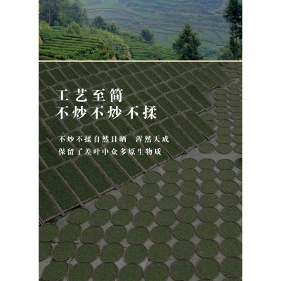 福鼎白茶陈年老白茶枣香寿眉贡眉白牡丹茶叶批发2022年荒野银针图4
