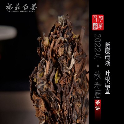 厂家批发2022福鼎高山白茶寿眉饼350g图4