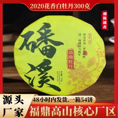 福鼎白茶牡丹王白牡丹老白茶饼高山陈年野生茶叶散装花香300g批发图1